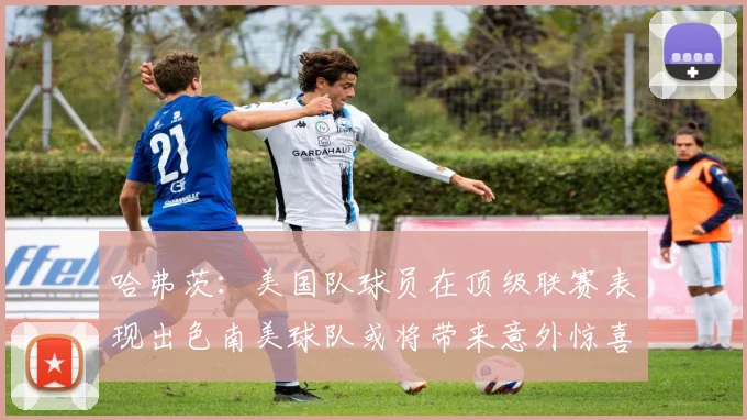 哈弗茨：美国队球员在顶级联赛表现出色南美球队或将带来意外惊喜