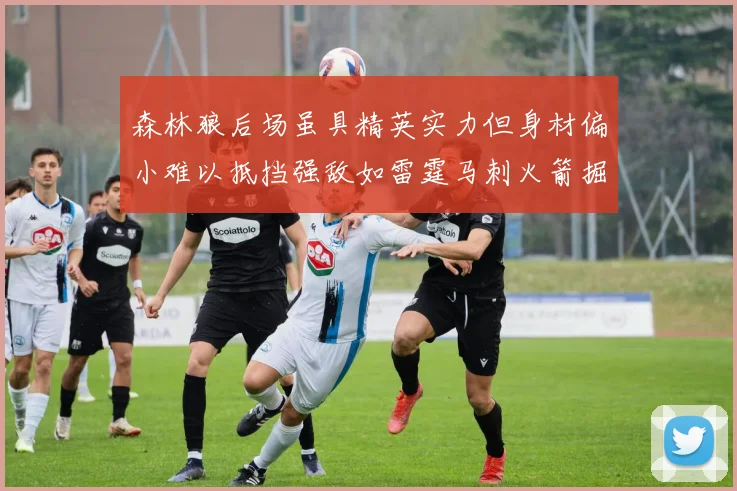 森林狼后场虽具精英实力但身材偏小难以抵挡强敌如雷霆马刺火箭掘金